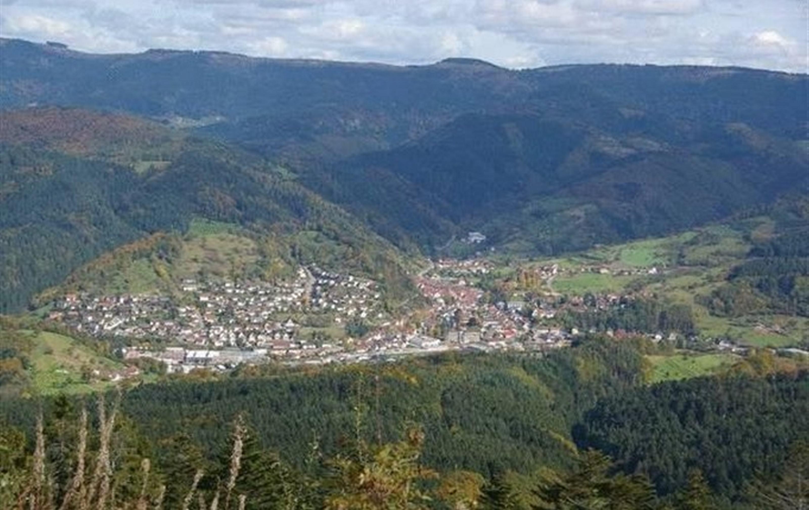 Gasthaus Finken Oppenau Zewnętrze zdjęcie