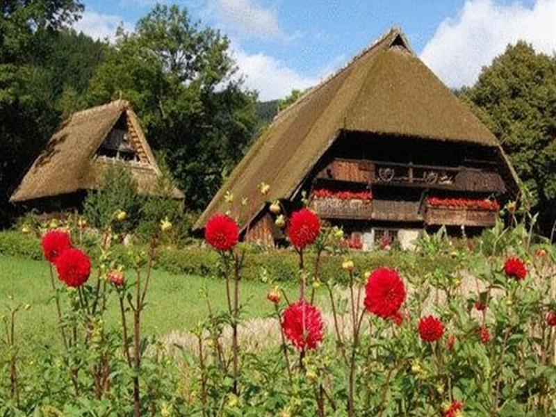 Gasthaus Finken Oppenau Zewnętrze zdjęcie