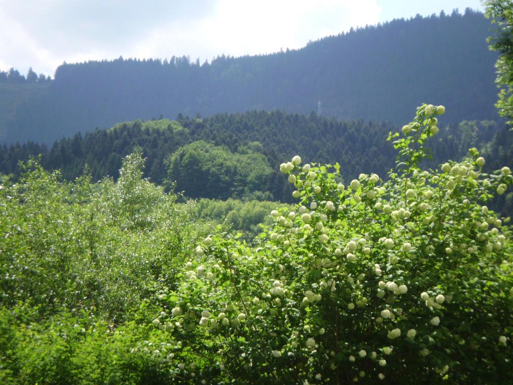 Gasthaus Finken Oppenau Zewnętrze zdjęcie